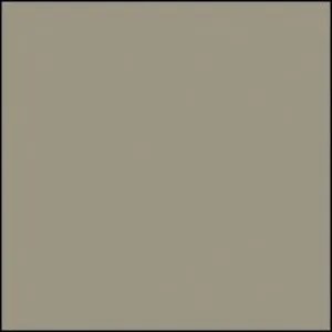 ASA-61 P-GRAY POWDER COATING PAINT, 1 LB - AXALTA PFH509S5
