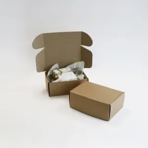 Plain Range Delivery Boxes, Med 210mm x 150mm x 85mm (Pk of 5)